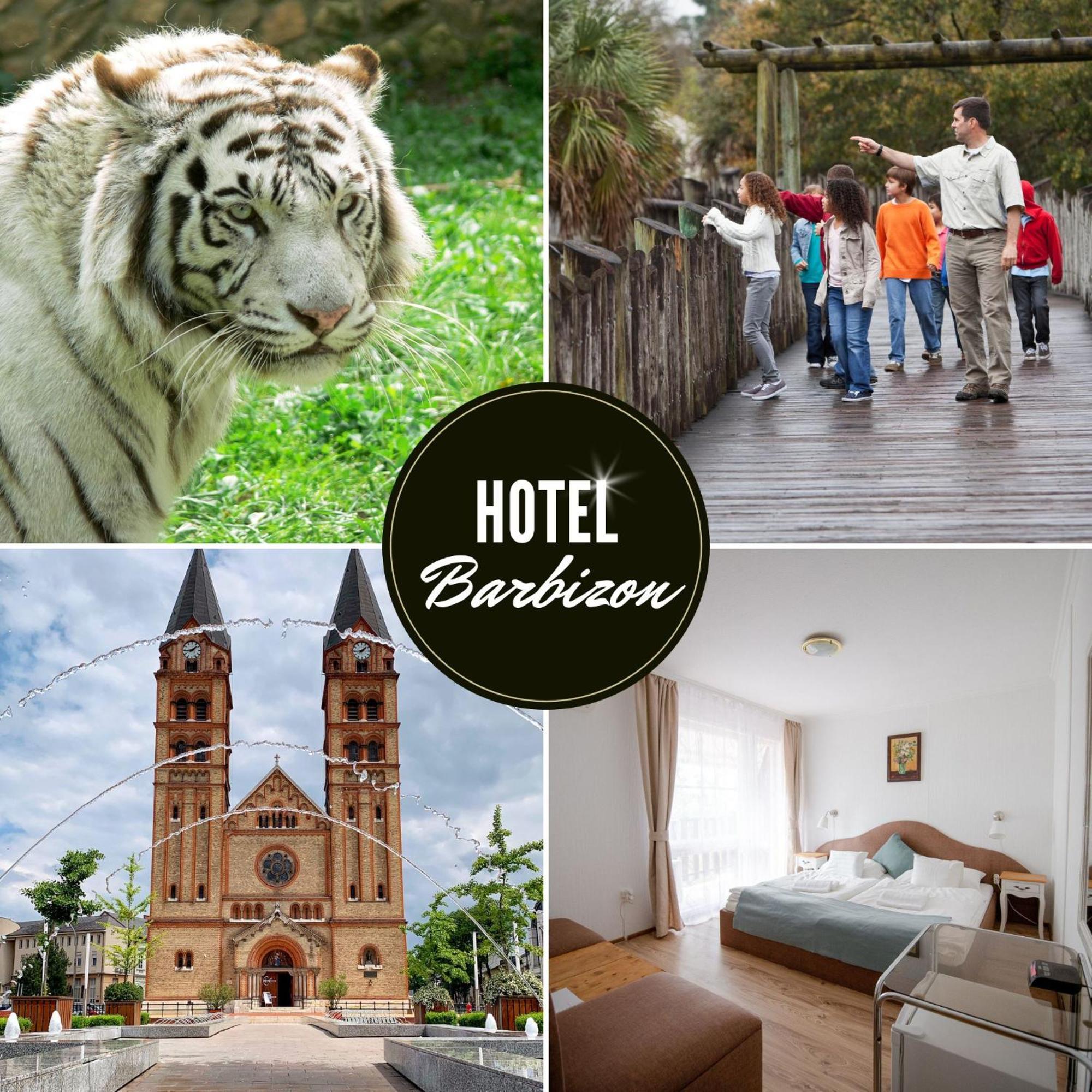 Hotel Barbizon Nyíregyháza エクステリア 写真